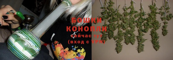 кокс Касимов