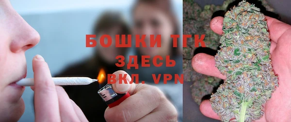 тгк Карпинск