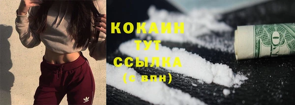 гидра Киреевск