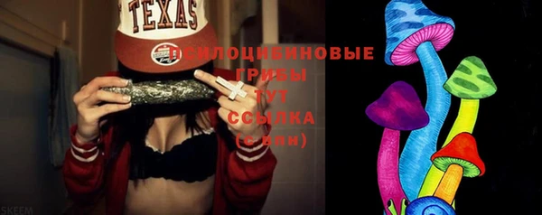 кокс Касимов
