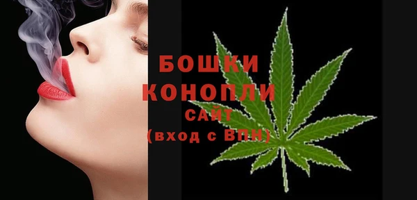 кокс Касимов