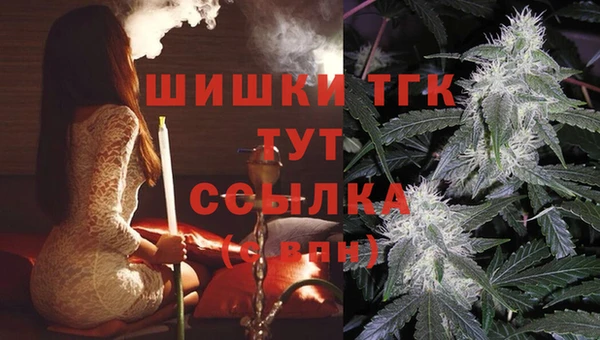 кокс Касимов