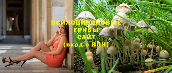 тгк Карпинск