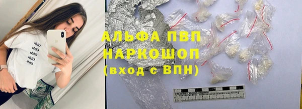 кокс Касимов