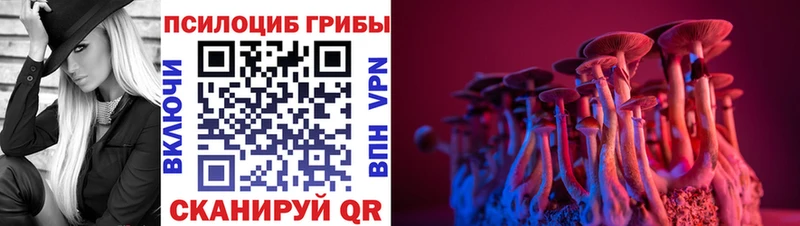 купить  сайты  Котово  Галлюциногенные грибы Magic Shrooms 